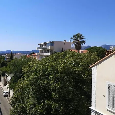 Studio Jungle Au Mourillon Apartment Toulon